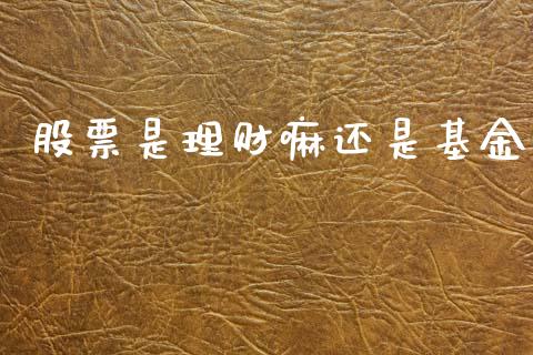 股票是理财嘛还是基金_https://www.ltsssb.com_基金频道_第1张