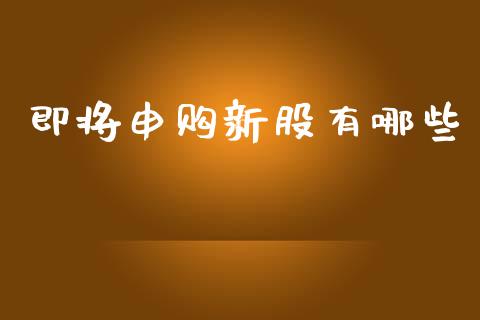 即将申购新股有哪些_https://www.ltsssb.com_期货密码_第1张