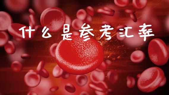 什么是参考汇率_https://www.ltsssb.com_新股数据_第1张