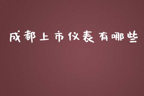 成都上市仪表有哪些_https://www.ltsssb.com_基金频道_第1张