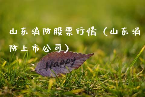 山东消防股票行情（山东消防上市公司）_https://www.ltsssb.com_股市分析_第1张