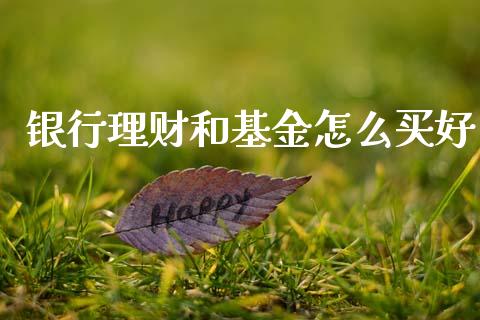银行理财和基金怎么买好_https://www.ltsssb.com_基金频道_第1张