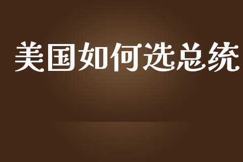美国如何选总统_https://www.ltsssb.com_期货密码_第1张