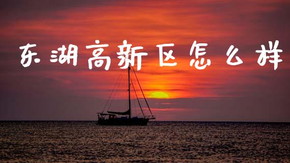 东湖高新区怎么样_https://www.ltsssb.com_国际财经_第1张