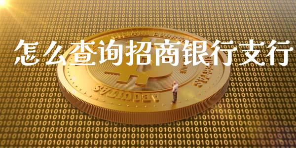 怎么查询招商银行支行_https://www.ltsssb.com_股市分析_第1张