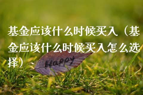 基金应该什么时候买入（基金应该什么时候买入怎么选择）_https://www.ltsssb.com_国际财经_第1张