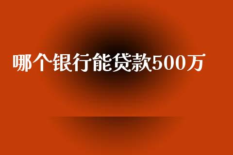 哪个银行能贷款500万_https://www.ltsssb.com_期货在线_第1张