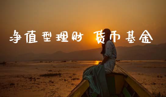 净值型理财 货币基金_https://www.ltsssb.com_基金频道_第1张