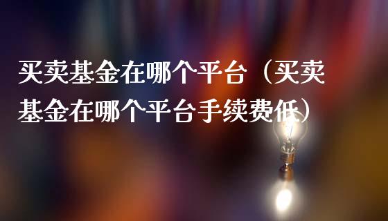 买卖基金在哪个平台（买卖基金在哪个平台手续费低）_https://www.ltsssb.com_基金频道_第1张