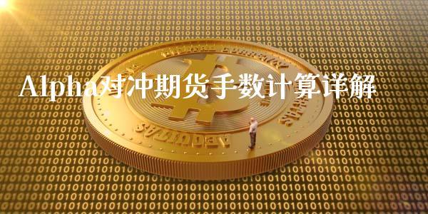 Alpha对冲期货手数计算详解_https://www.ltsssb.com_期货在线_第1张