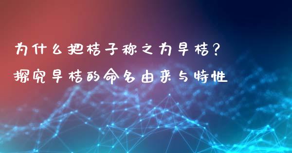 为什么把桔子称之为早桔？探究早桔的命名由来与特性_https://www.ltsssb.com_期货在线_第1张