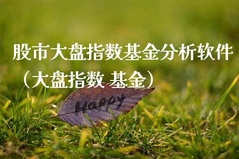 股市大盘指数基金分析软件（大盘指数 基金）_https://www.ltsssb.com_国际财经_第1张
