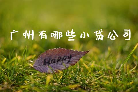 广州有哪些小贷公司_https://www.ltsssb.com_期货在线_第1张