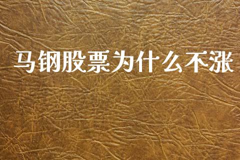 马钢股票为什么不涨_https://www.ltsssb.com_基金频道_第1张