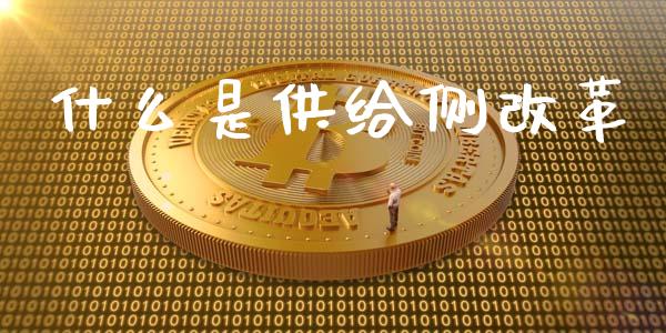 什么是供给侧改革_https://www.ltsssb.com_期货在线_第1张