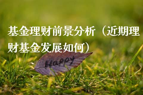 基金理财前景分析（近期理财基金发展如何）_https://www.ltsssb.com_基金频道_第1张