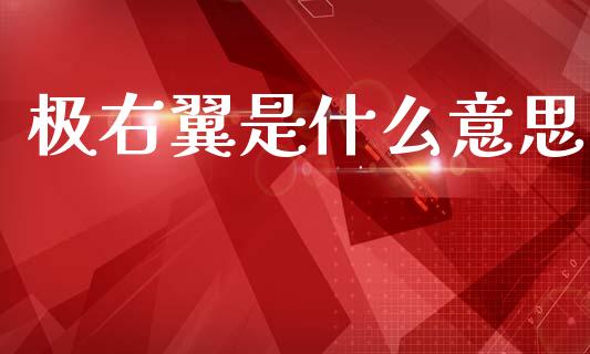 极右翼是什么意思_https://www.ltsssb.com_基金频道_第1张