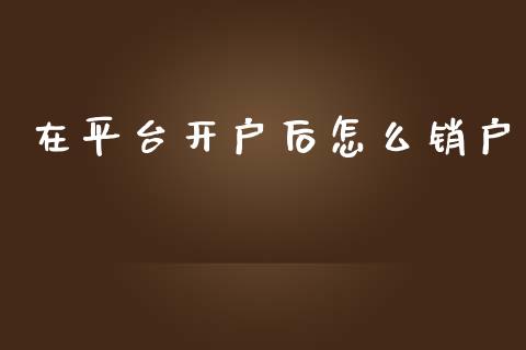 在平台开户后怎么销户_期货行情_第1张_IT财经网 在平台开户后怎么销户_https://www.ltsssb.com_期货行情_第1张
