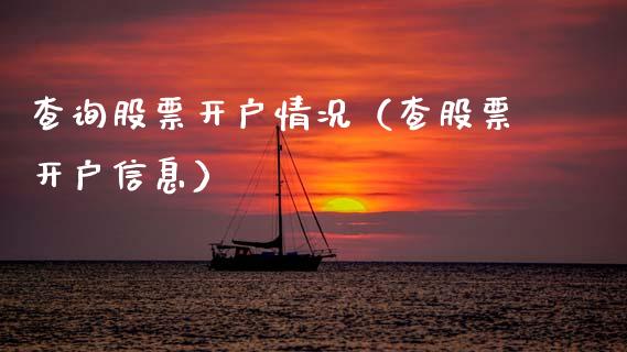 查询股票开户情况（查股票开户信息）_https://www.ltsssb.com_股票理论_第1张