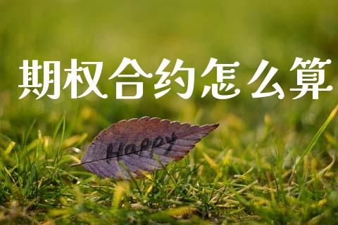 期权合约怎么算_https://www.ltsssb.com_新股数据_第1张