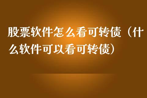 股票软件怎么看可转债（什么软件可以看可转债）_https://www.ltsssb.com_股票理论_第1张