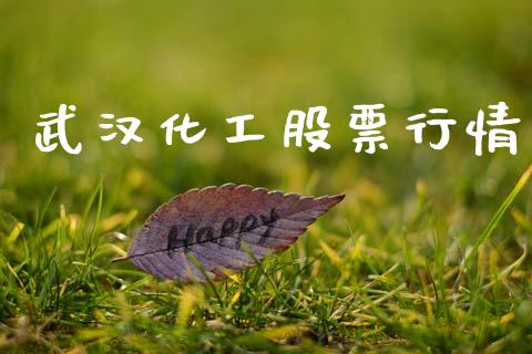 武汉化工股票行情_https://www.ltsssb.com_股市分析_第1张