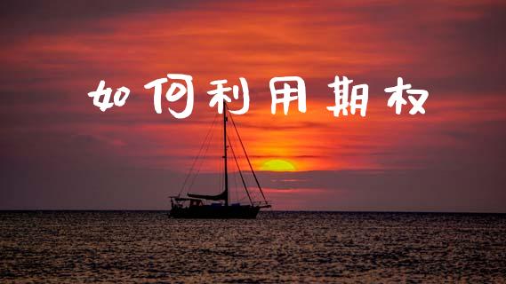 如何利用期权_https://www.ltsssb.com_新股数据_第1张