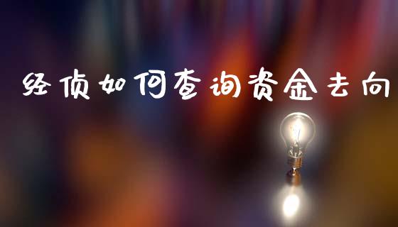经侦如何查询资金去向_https://www.ltsssb.com_新股数据_第1张