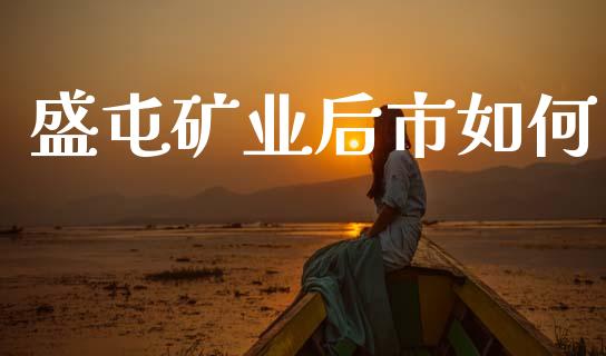 盛屯矿业后市如何_https://www.ltsssb.com_新股数据_第1张