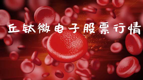 丘钛微电子股票行情_https://www.ltsssb.com_股票理论_第1张