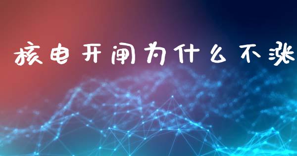 核电开闸为什么不涨_https://www.ltsssb.com_期货行情_第1张
