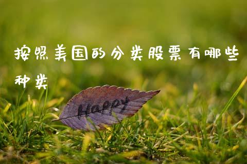 按照美国的分类股票有哪些种类_https://www.ltsssb.com_国际财经_第1张