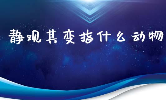静观其变指什么动物_https://www.ltsssb.com_期货行情_第1张