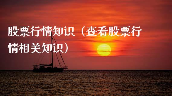 股票行情知识（查看股票行情相关知识）_https://www.ltsssb.com_新股数据_第1张