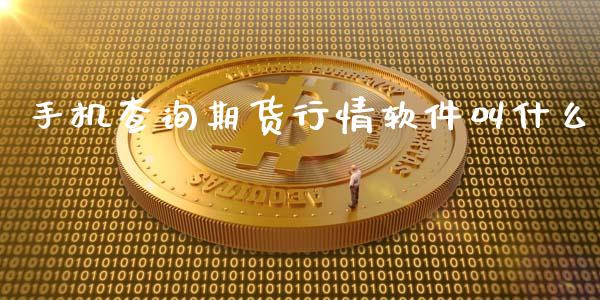 手机查询期货行情软件叫什么_https://www.ltsssb.com_期货密码_第1张