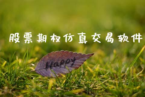 股票期权仿真交易软件_https://www.ltsssb.com_股票理论_第1张