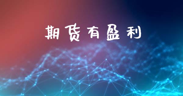 期货有盈利_https://www.ltsssb.com_股票理论_第1张
