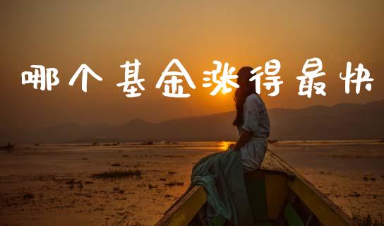 哪个基金涨得最快_https://www.ltsssb.com_期货行情_第1张