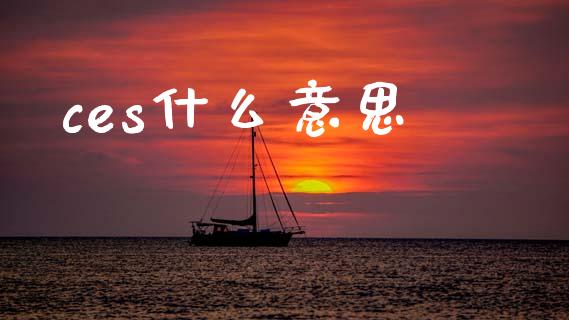 ces什么意思_https://www.ltsssb.com_期货密码_第1张
