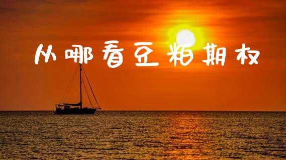 从哪看豆粕期权_https://www.ltsssb.com_期货行情_第1张