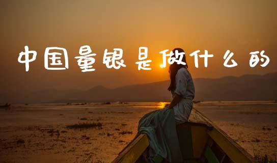 中国量银是做什么的_https://www.ltsssb.com_基金频道_第1张
