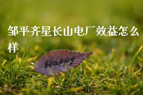 邹平齐星长山电厂效益怎么样_https://www.ltsssb.com_期货密码_第1张