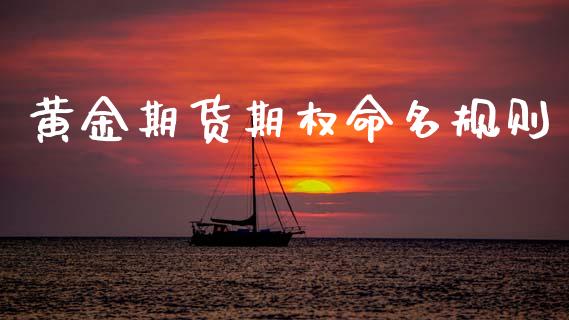 黄金期货期权命名规则_https://www.ltsssb.com_期货密码_第1张