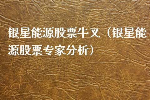 银星能源股票牛叉（银星能源股票专家分析）_https://www.ltsssb.com_股票理论_第1张