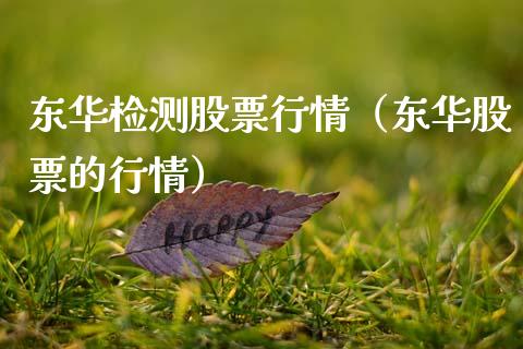 东华检测股票行情（东华股票的行情）_https://www.ltsssb.com_新股数据_第1张