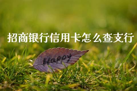 招商银行信用卡怎么查支行_https://www.ltsssb.com_期货在线_第1张