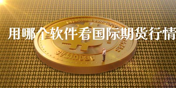 用哪个软件看国际期货行情_https://www.ltsssb.com_期货行情_第1张
