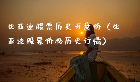 比亚迪股票历史开盘价（比亚迪股票价格历史行情）_https://www.ltsssb.com_股票理论_第1张