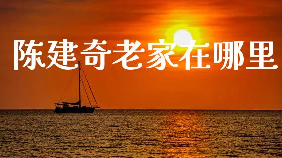 陈建奇老家在哪里_https://www.ltsssb.com_新股数据_第1张