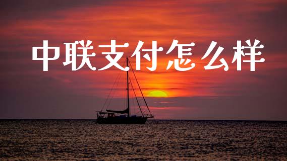 中联支付怎么样_https://www.ltsssb.com_股市分析_第1张